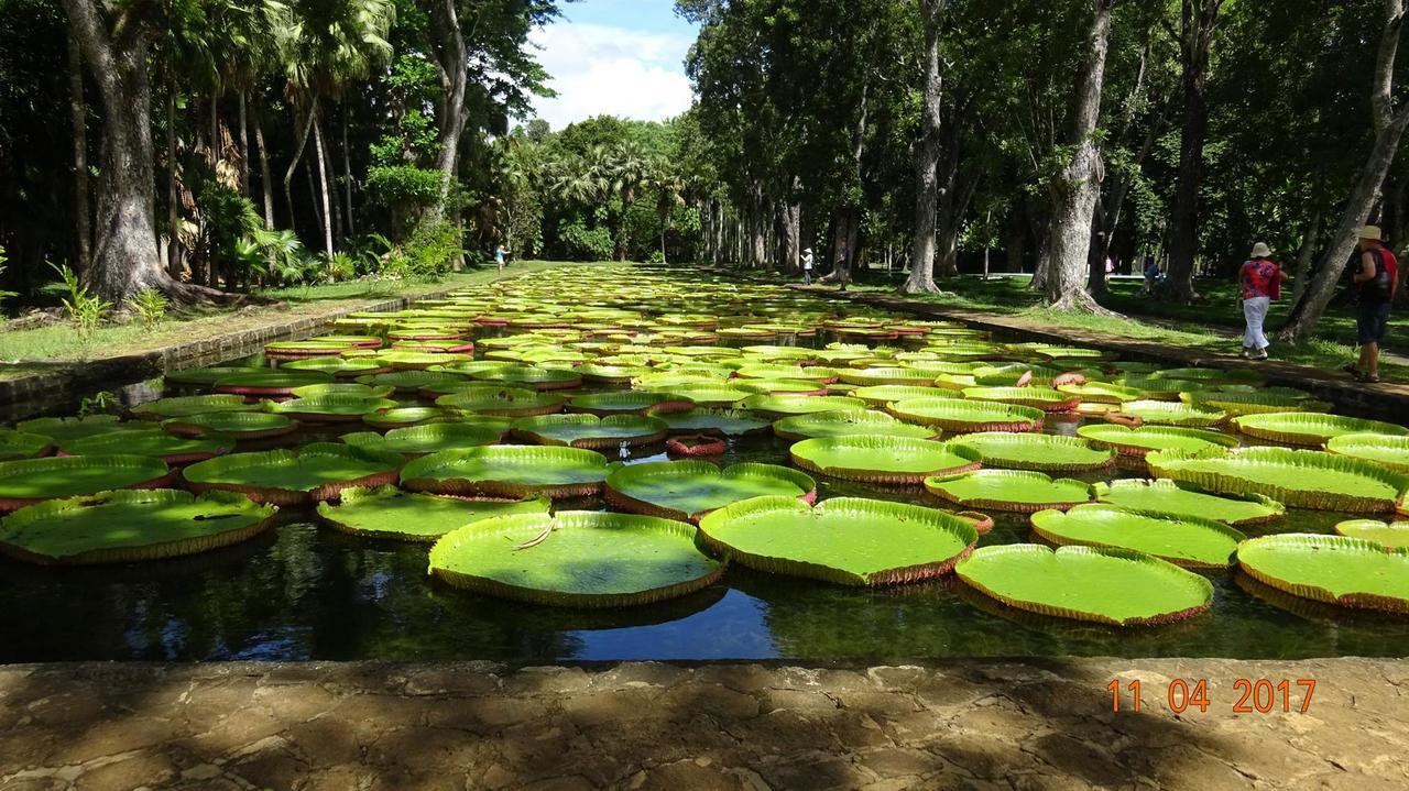 Villa Alexis - Location De Vacances A Trou Aux Biches Luaran gambar